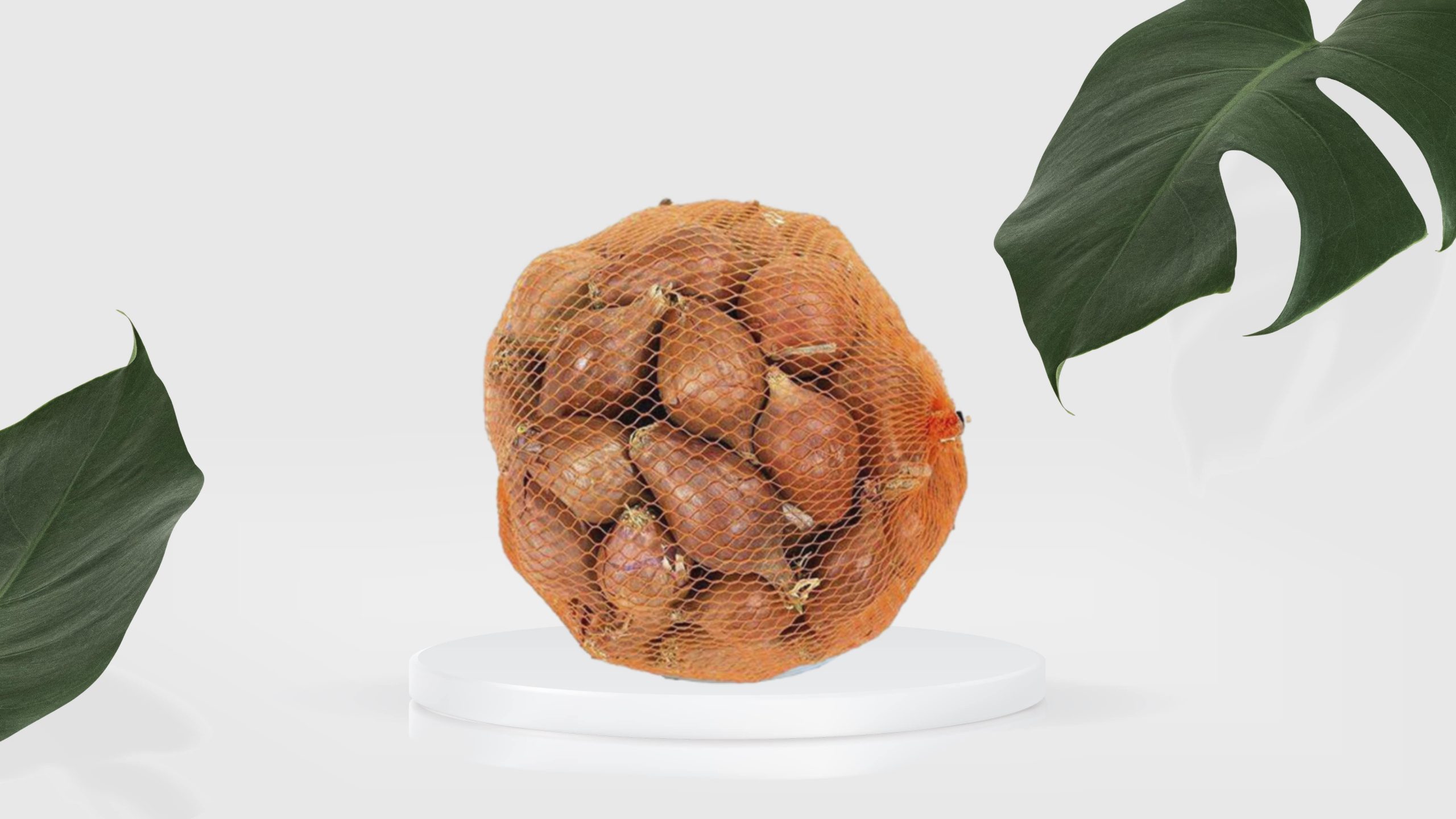 Arpacık Soğan 500gr.-min