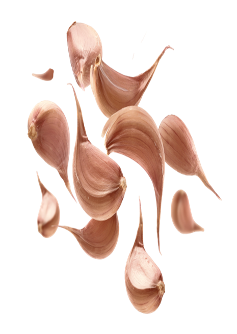gar